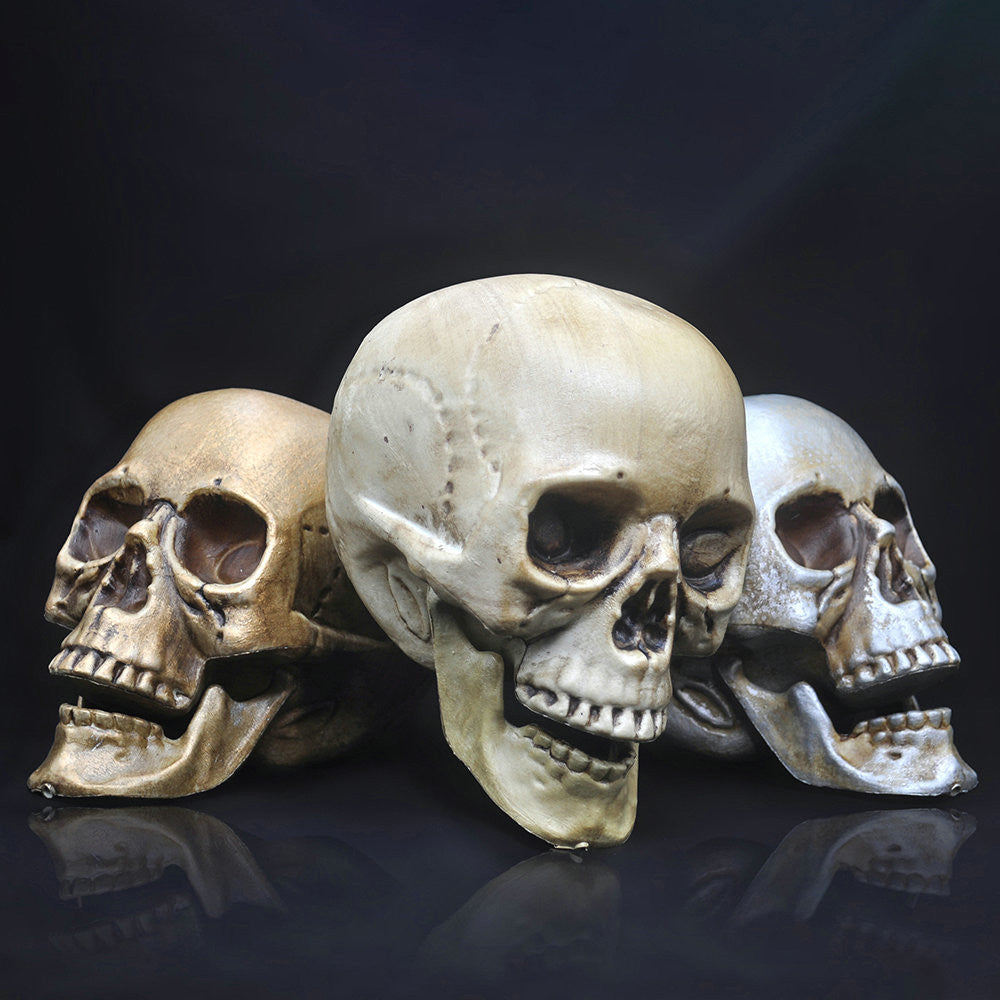 Skull Decor Prop Skeleton Head Plastic Model Halloween