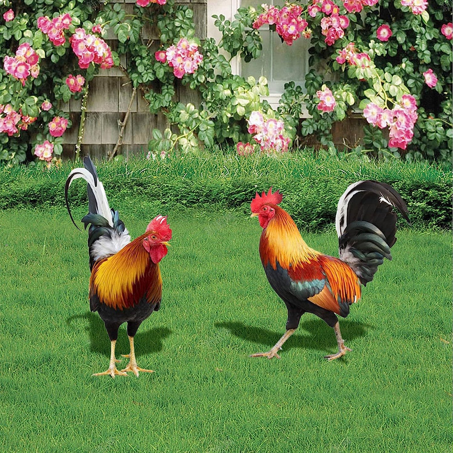 3D Rooster Acrylic Mirror Garden Decoration