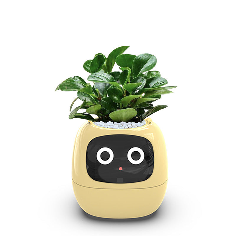 Smart Automatic Watering Flower Pot