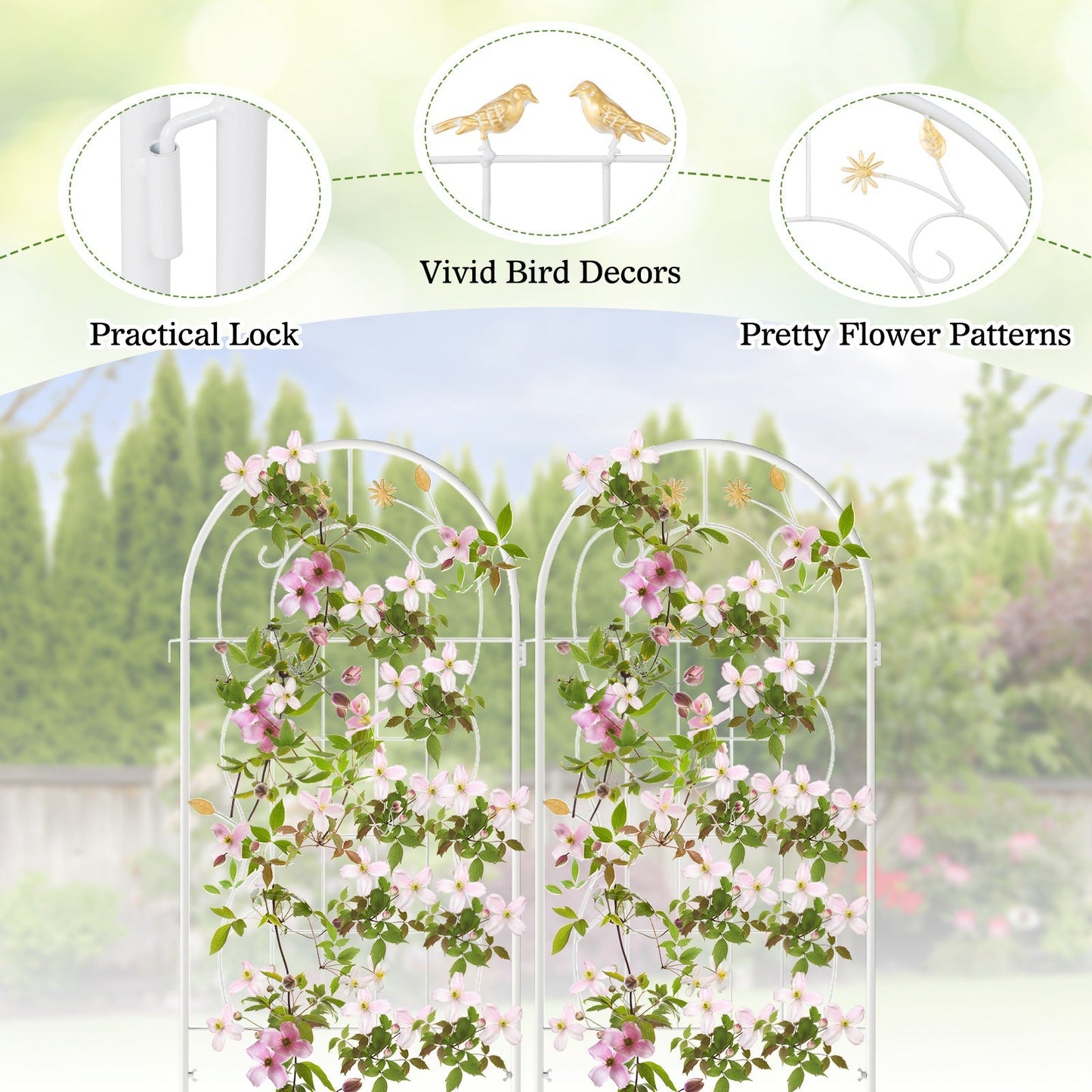 2 Pack 71 x 20 Inch Metal Garden Trellis Rustproof Plant Support for Climbing Plants