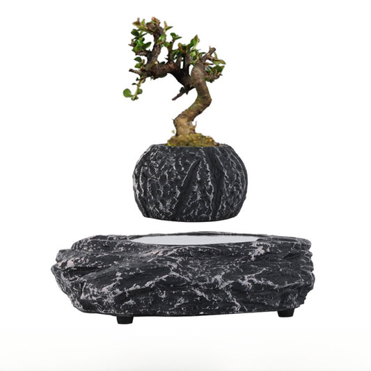 Magnetic Levitation Flower Pot Nordic Decor