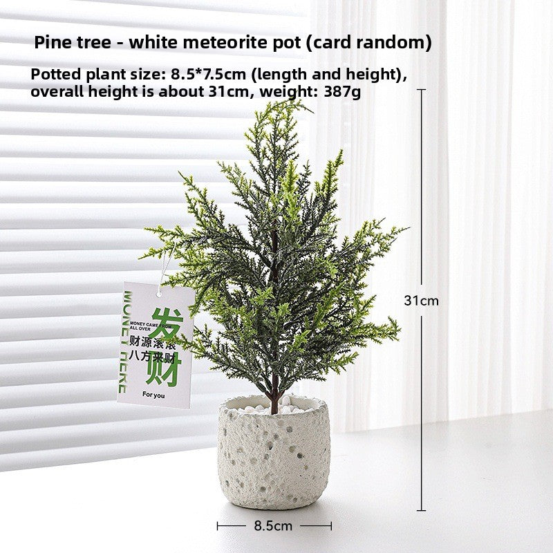 Small pot plant ornaments