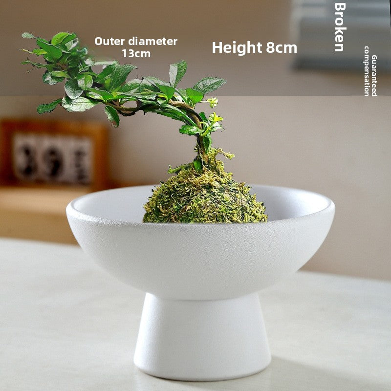 Ceramic Flowerpot