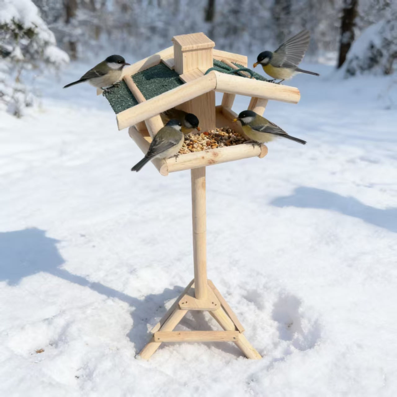 Garden floor-standing bird feeder