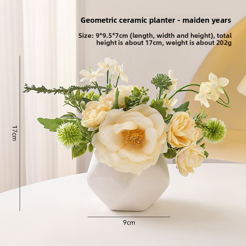 Small pot plant ornaments