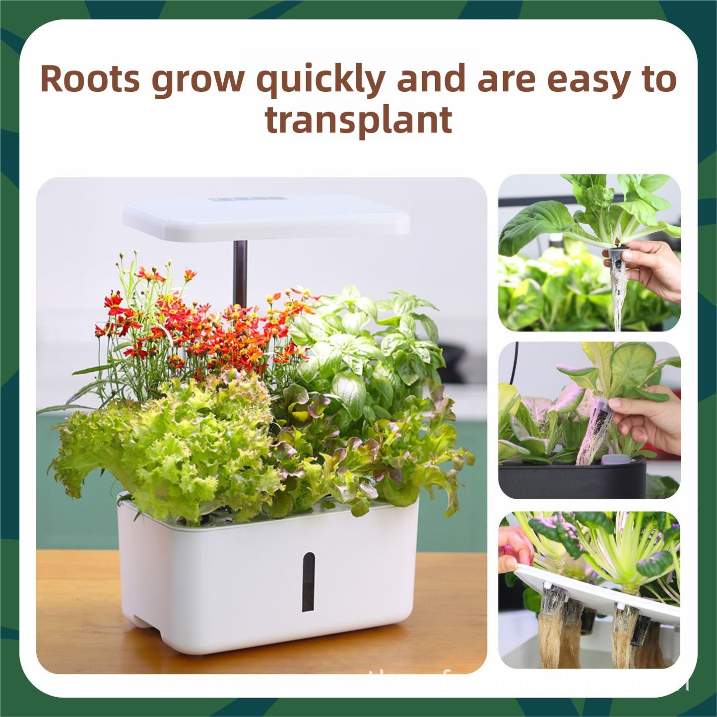 Hydroponic Seed Starter Blocks for AeroGarden