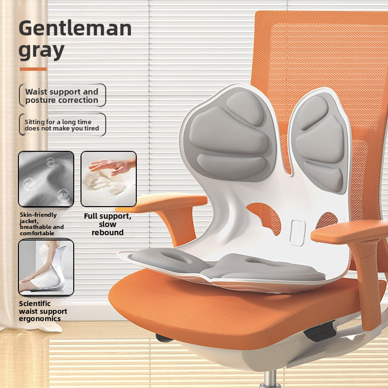 Ergonomic Memory Foam Lumbar Support Cushion