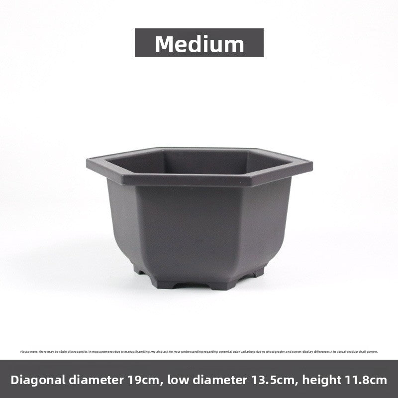 Plastic flower pot for succulent plant cultivation