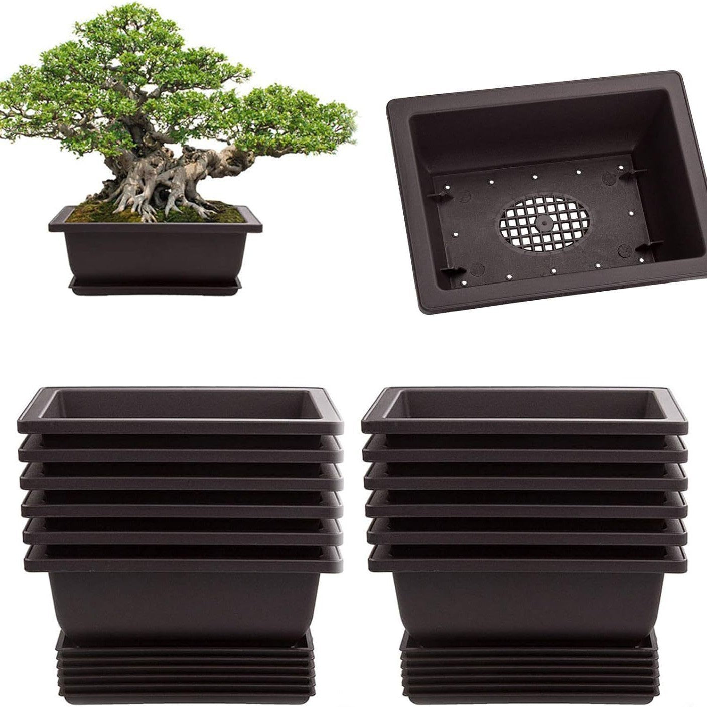 Plastic flower pot for succulent plant cultivation