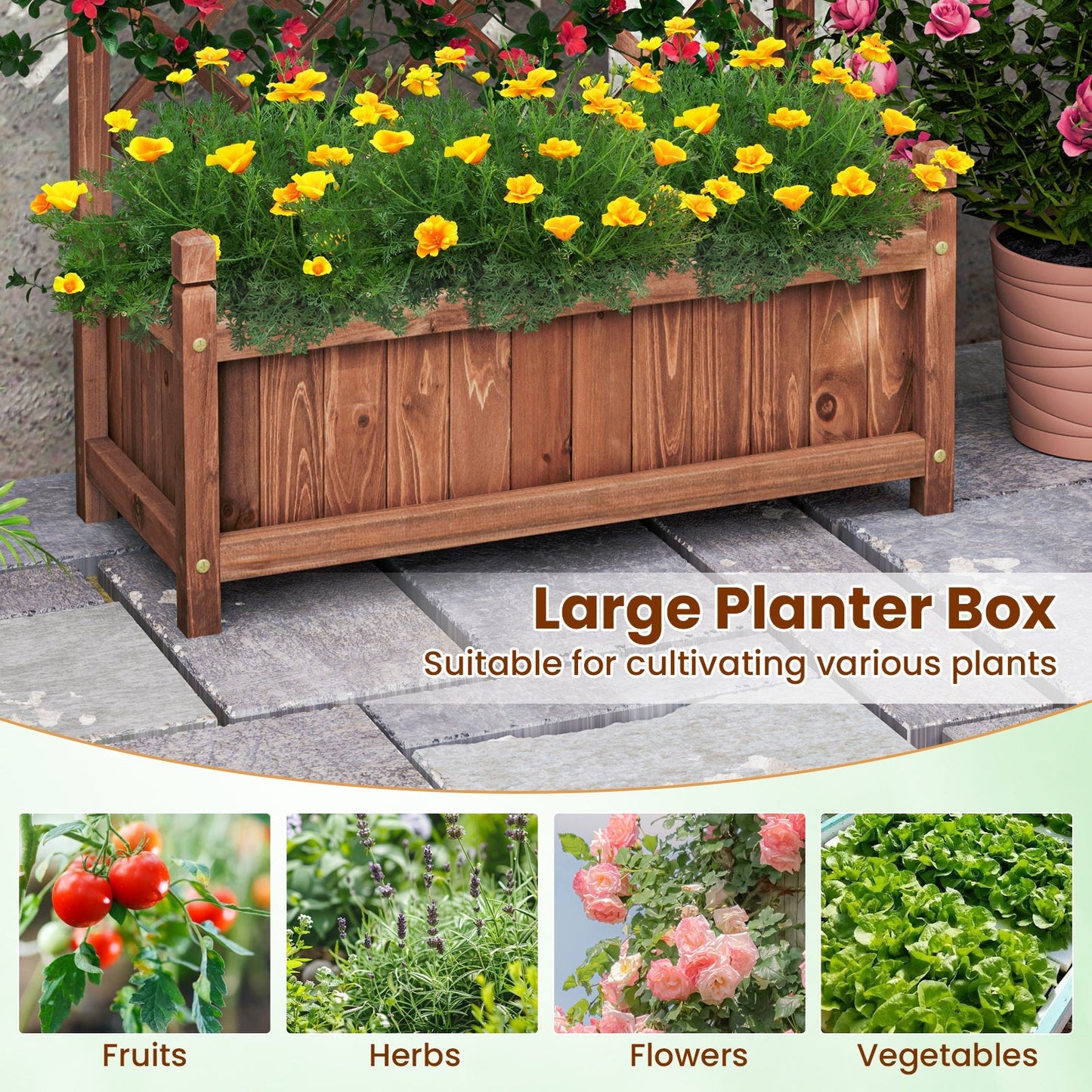 60 Inch Tall Raised Garden Bed with Diamond Lattice Trellis and Drainage Holes