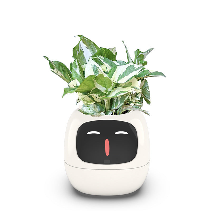 Smart Automatic Watering Flower Pot