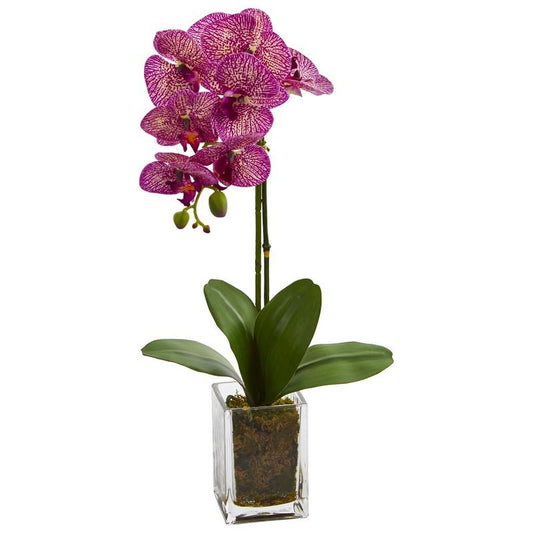24" Orchid Phalaenopsis Artificial Arrangement In Vase 4309-PK By Nearly Natural