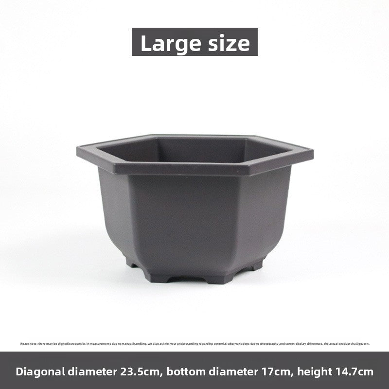 Plastic flower pot for succulent plant cultivation