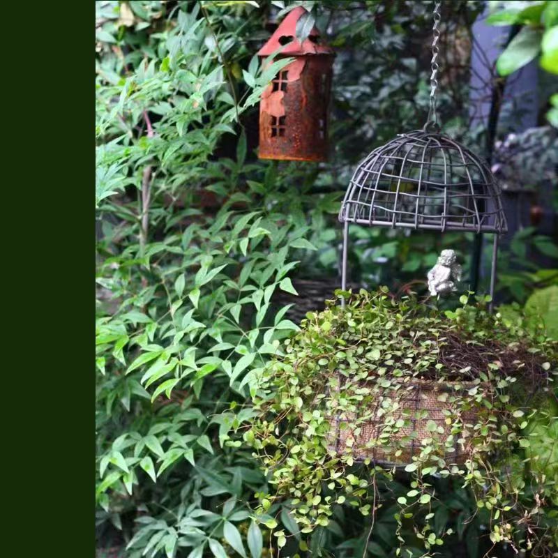Iron Wire Birdcage Hanging Planter for Outdoor Garden