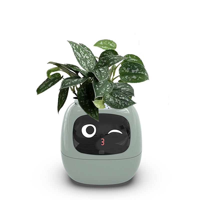 Smart Automatic Watering Flower Pot