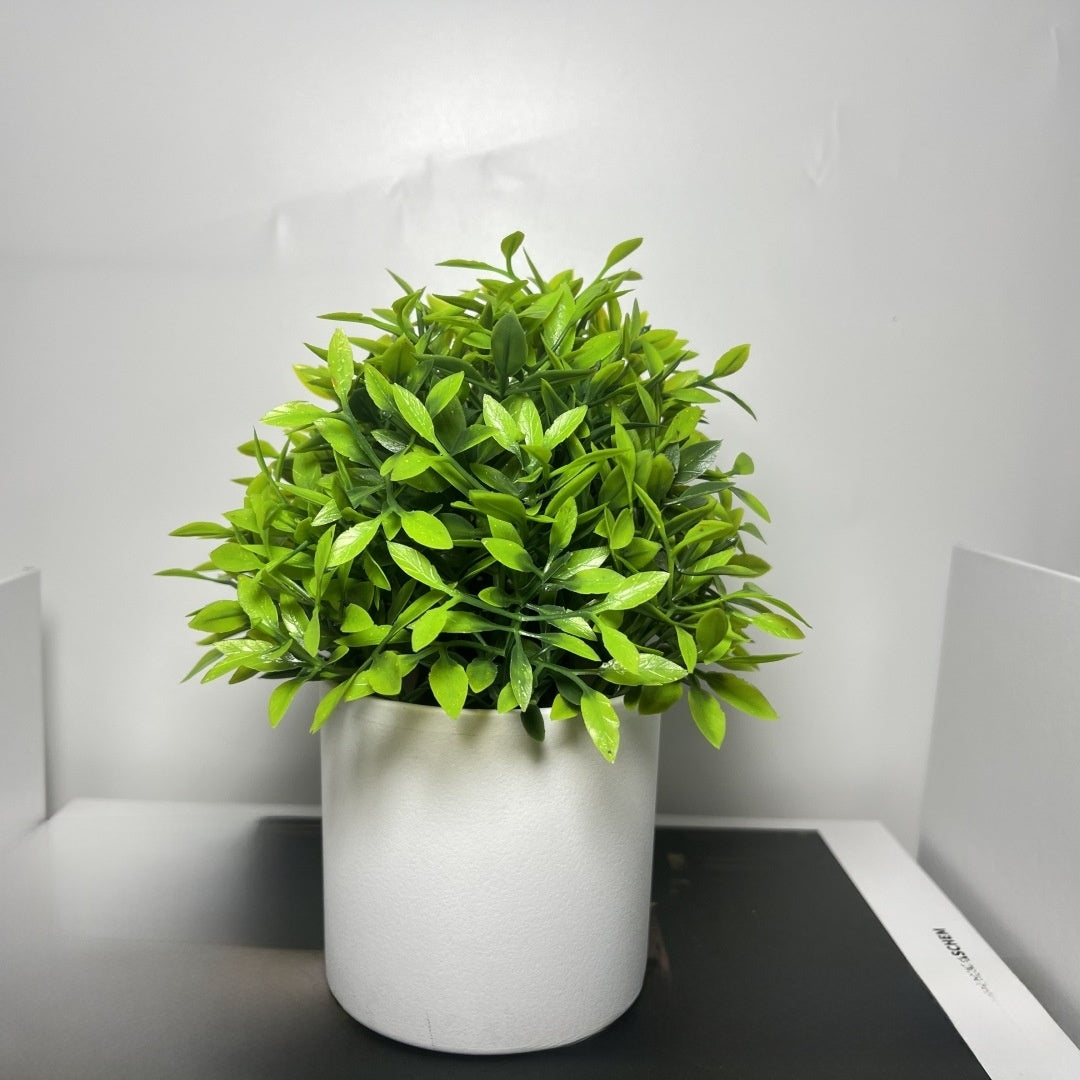 Artificial Plastic Potted Plants for Home Decoration