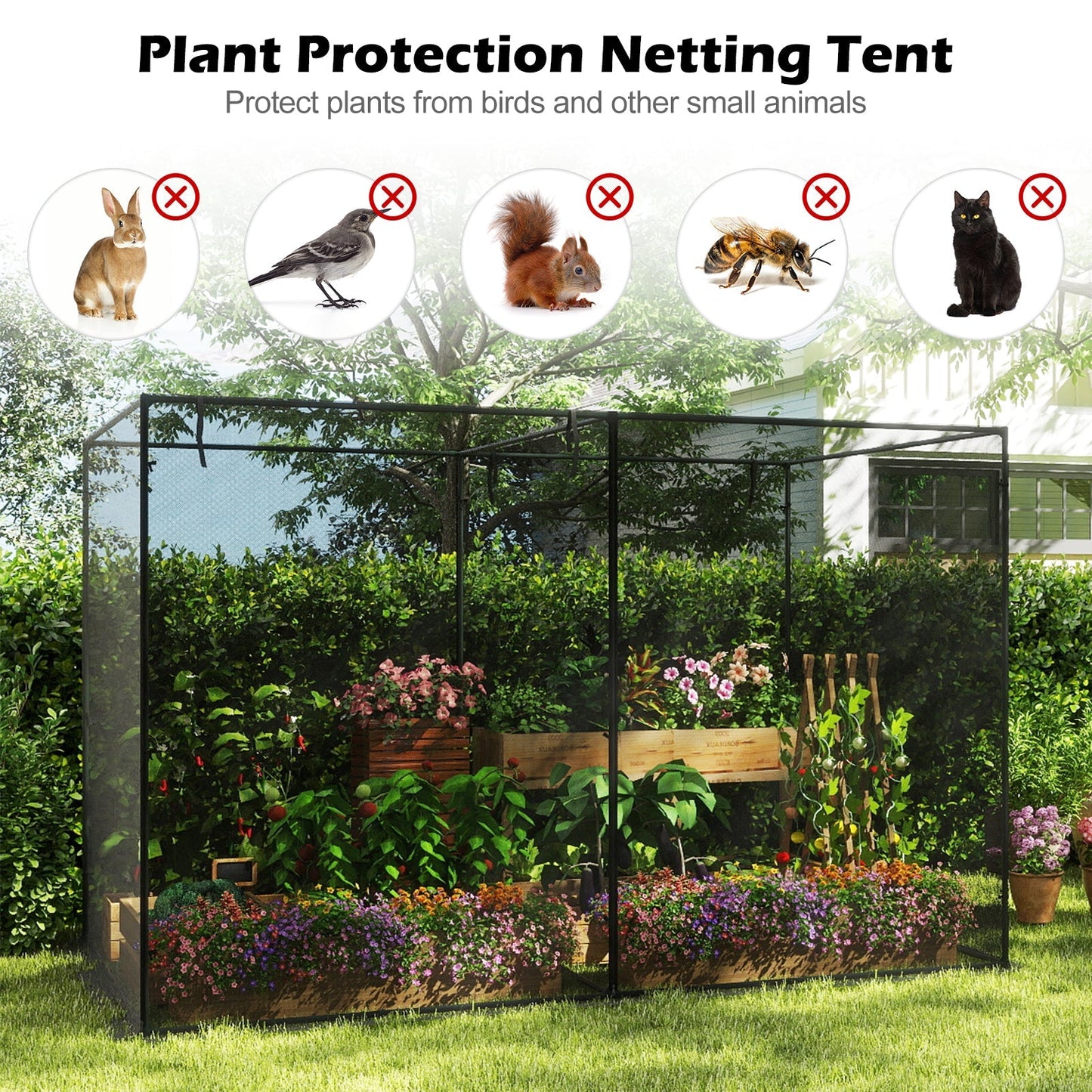 Crop Cages with 6 Ground Nails for Garden Plant