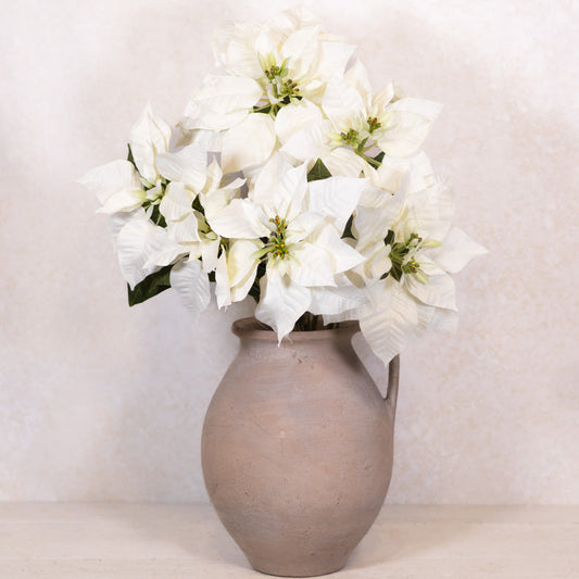 White Poinsettia Bush Weather Resistant
