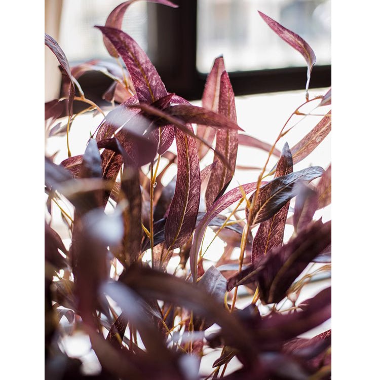 Whispers of Autumn Eucalyptus Stem 33" Tall