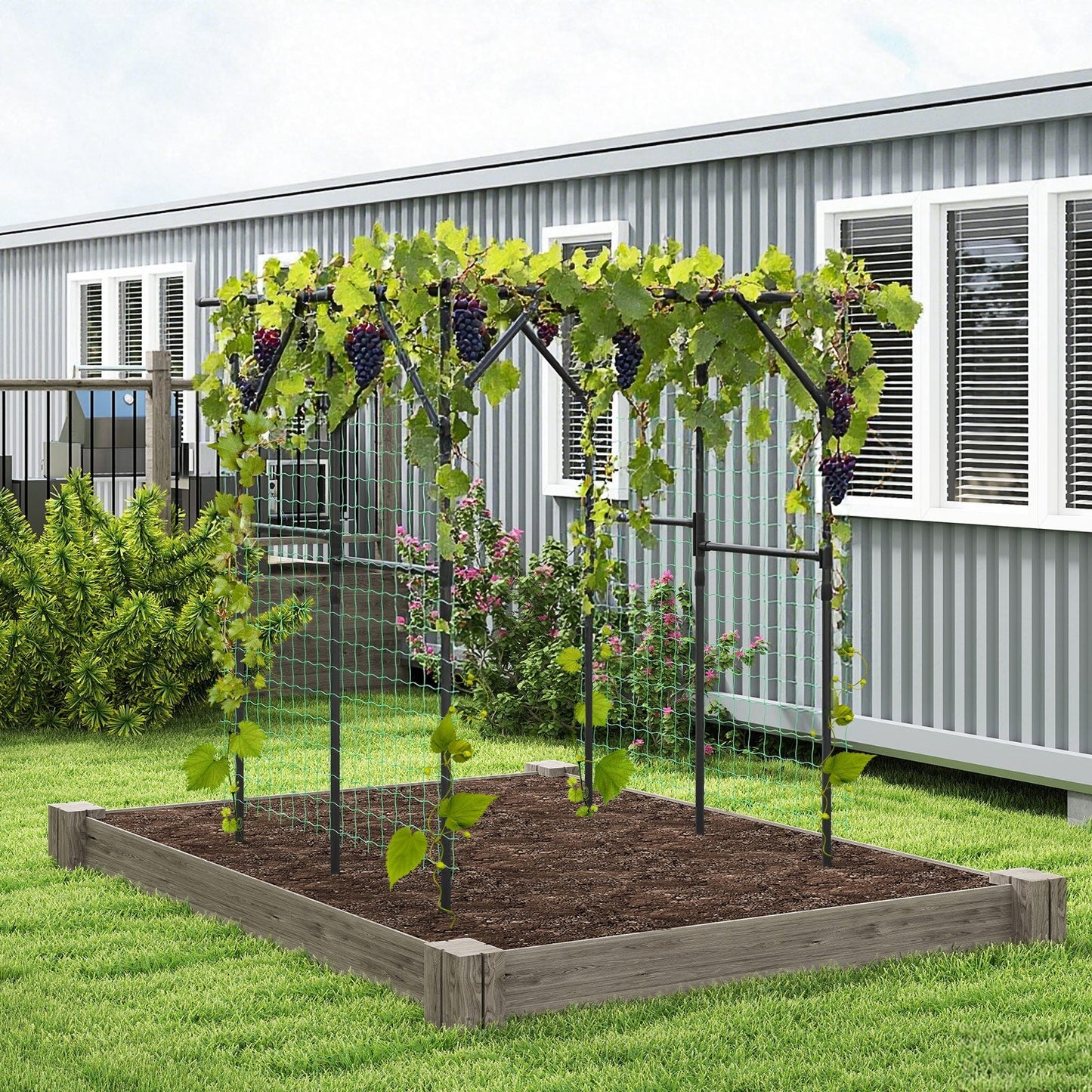 Large Garden Arch Trellis for Climbing Plants Outdoor Grape Vine Support-Black