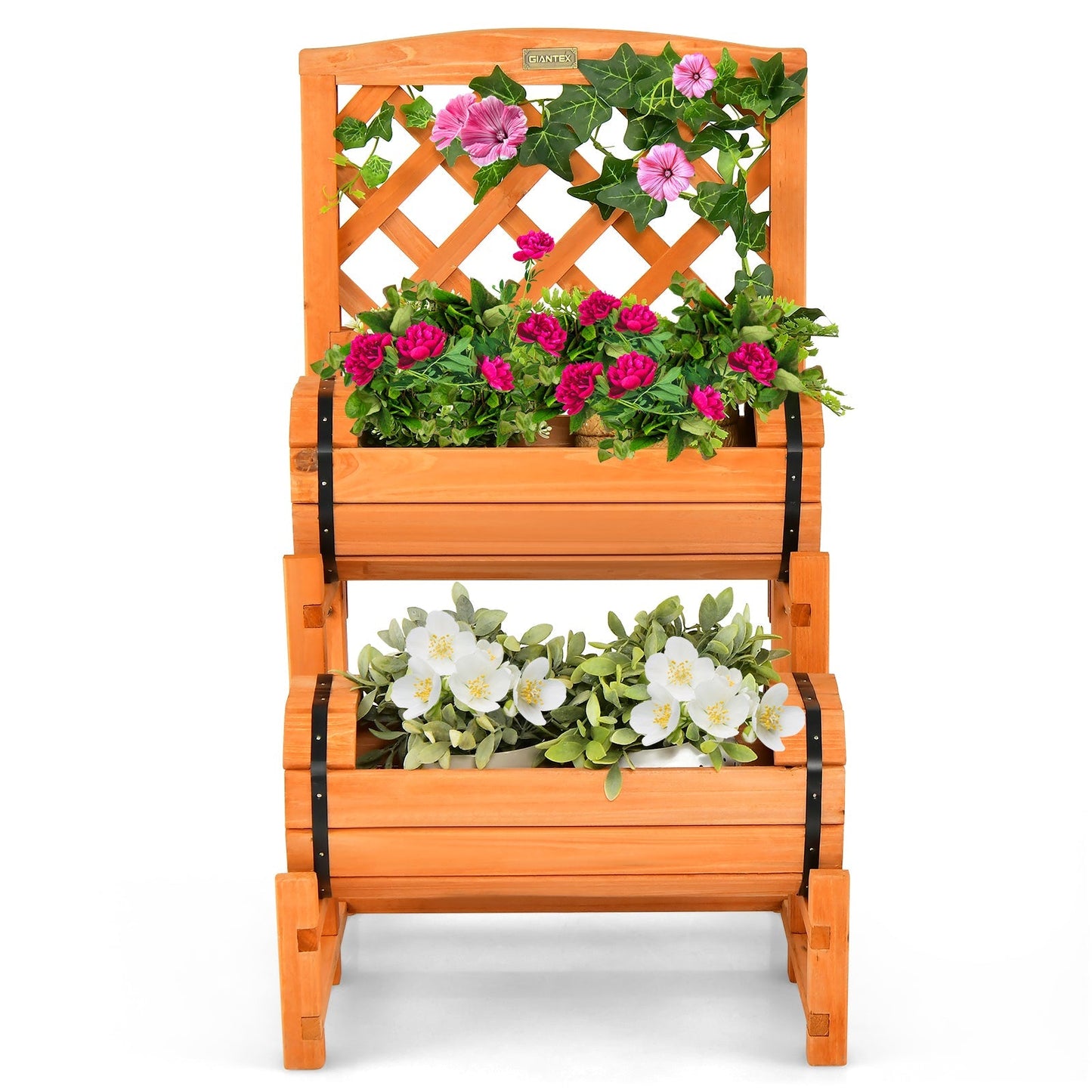 2-Tier Raised Garden Bed with Trellis and Planter Boxes