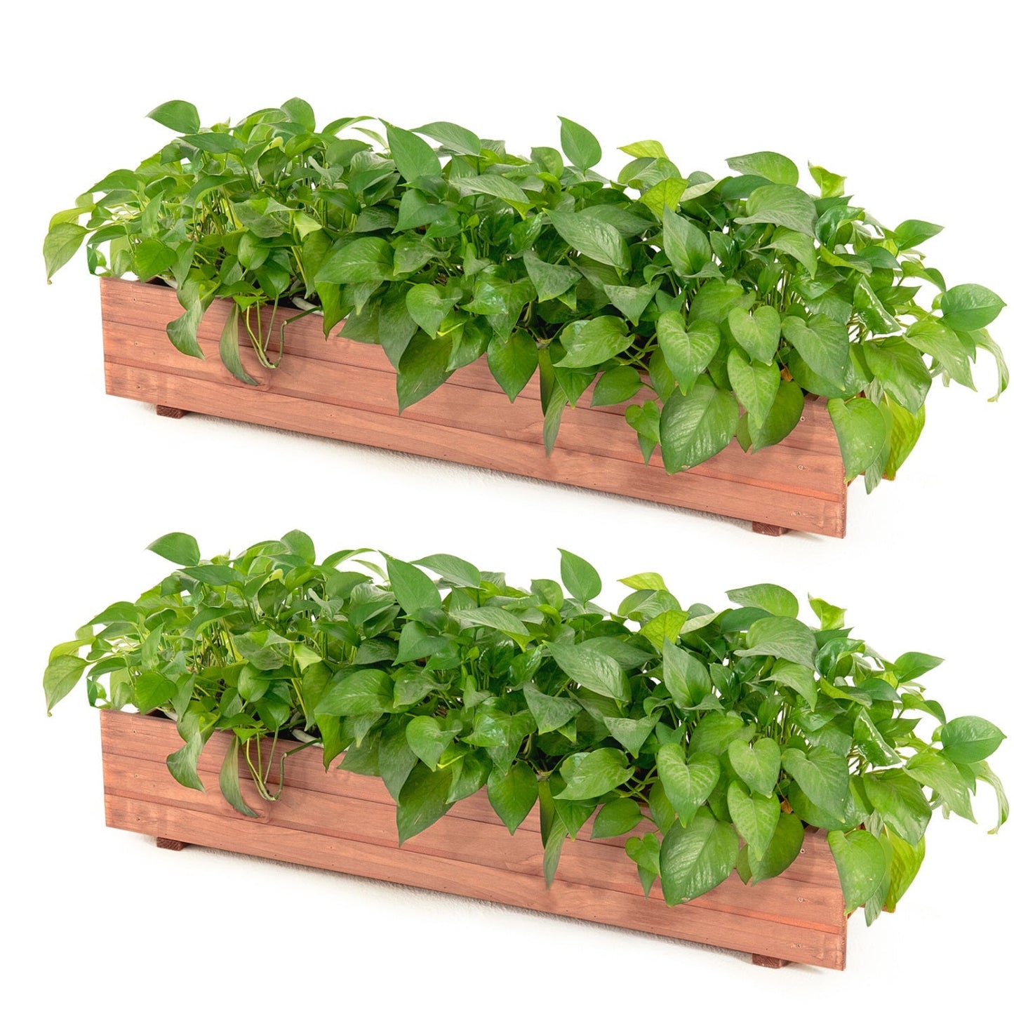 Wooden Raised Garden Bed Planter Box Set of 2 - Brown