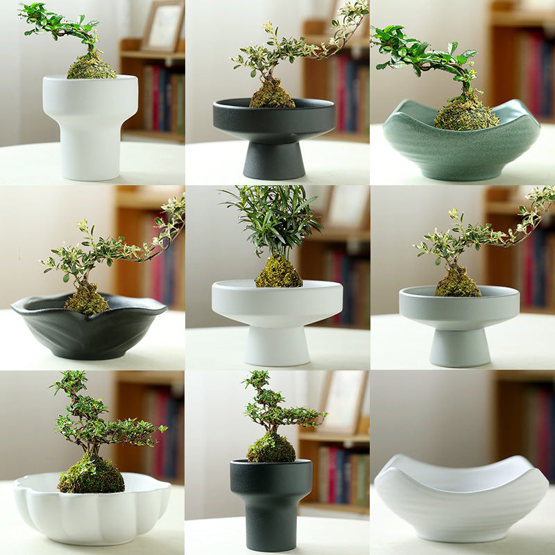Ceramic Flowerpot