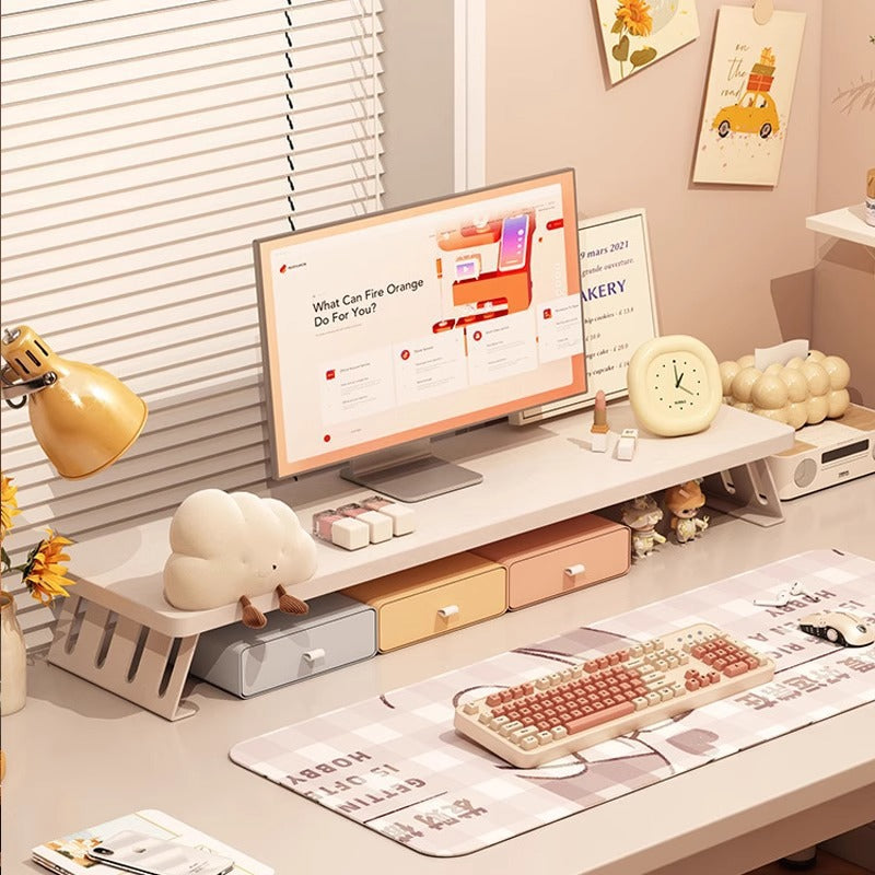 Desktop Storage Rack with Elevated Base