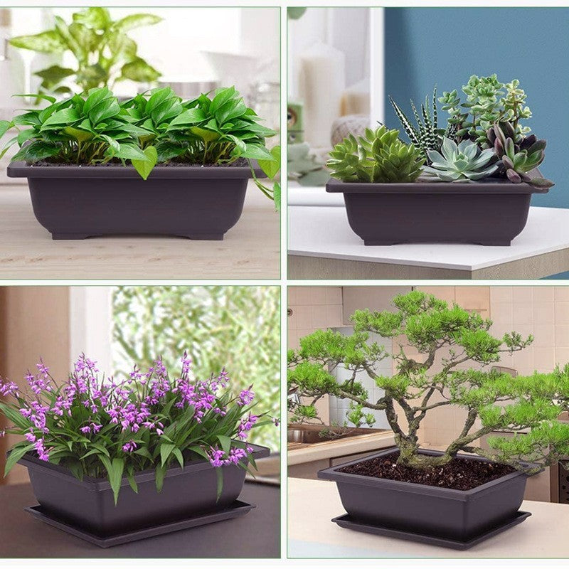 Plastic flower pot for succulent plant cultivation