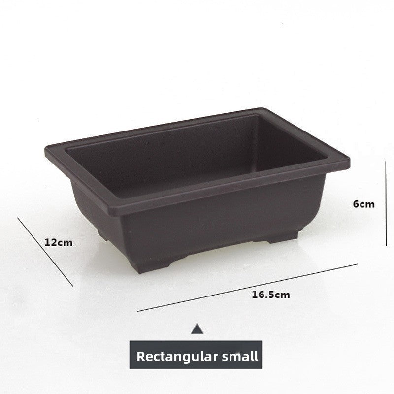 Plastic flower pot for succulent plant cultivation