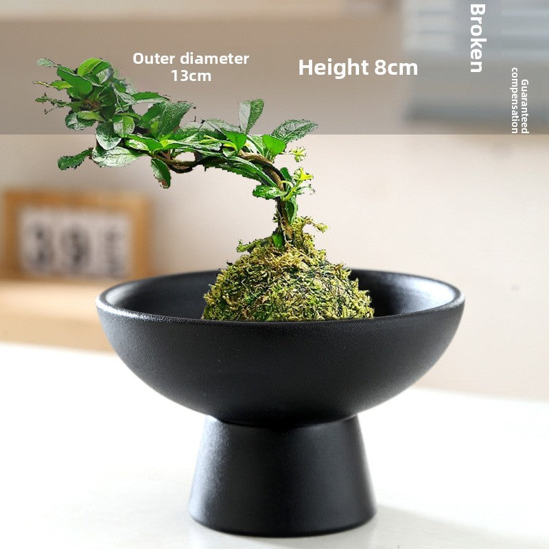 Ceramic Flowerpot