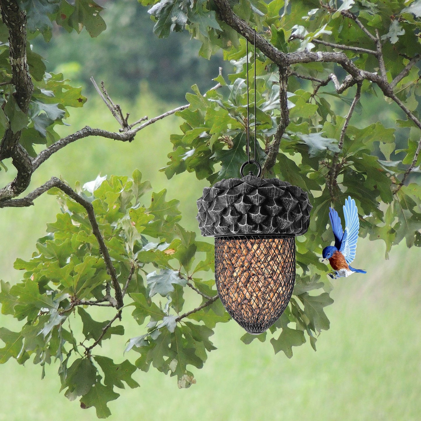 Acorn Shaped Bird Feeder for Garden Decoration