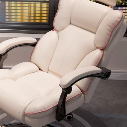 Ergonomic Office Chair with Adjustable Lumbar Support