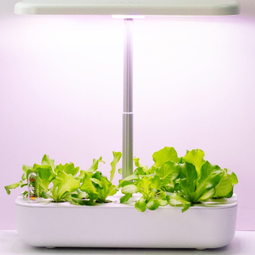 Smart Flower Pot