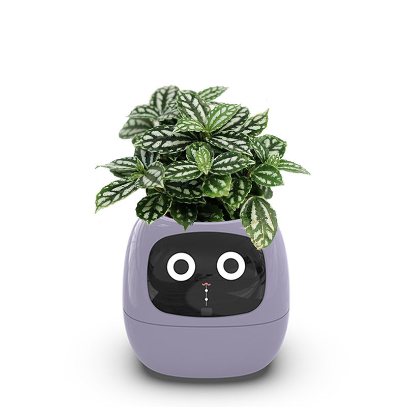 Smart Automatic Watering Flower Pot