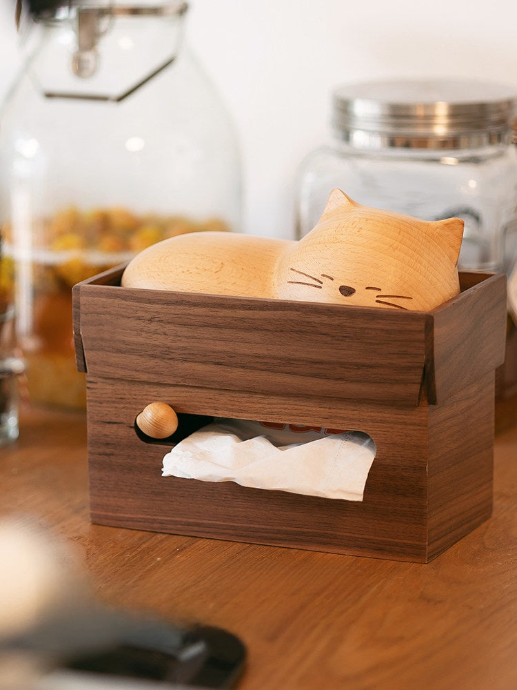 The cat's sleeping paper towel box