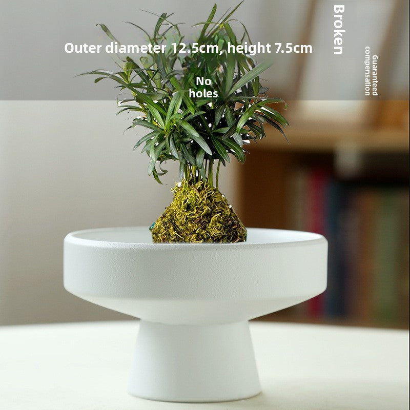 Ceramic Flowerpot