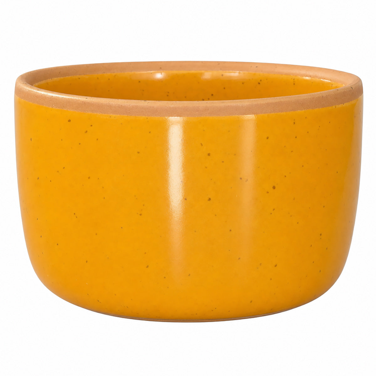 Solid Dish Soap Jar & Brush
