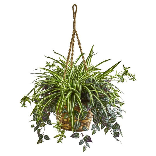 30" Wandering Jew & Spider Artificial Plant in Hanging Basket